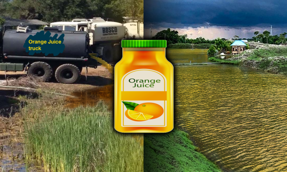 Lake Kendua to be filled with orange juice