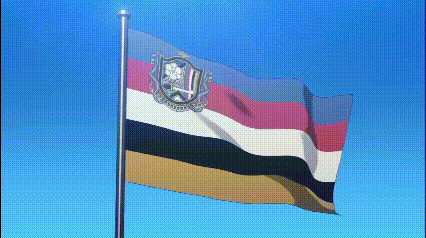 a00808d36a21a5c2a9d519e51ff03f39c47a01ddx635.gif