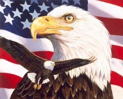 National Animal Image
