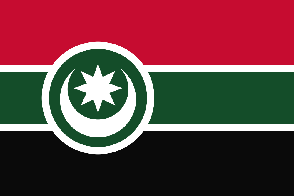 Alternative flag