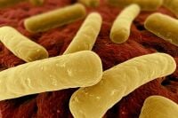 Botulism