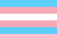 Trans rights :3