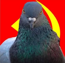 National Animal Image