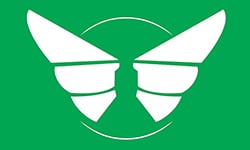 Winter Soldier Flag