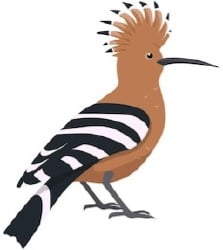 National Animal Image