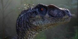 National Animal Image