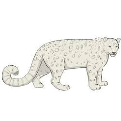 National Animal Image