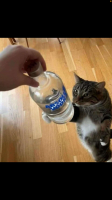 Alcoholism