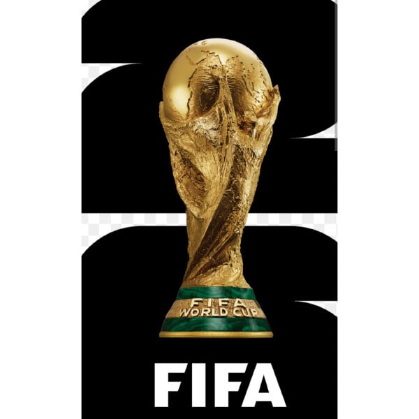 Hosting a football world cup need 16 nation,if i like ur comment you can join