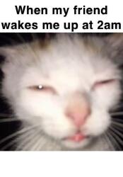National Animal Image