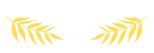 d008b6798376c6260c5ef44100b855e3b27af044x914.png