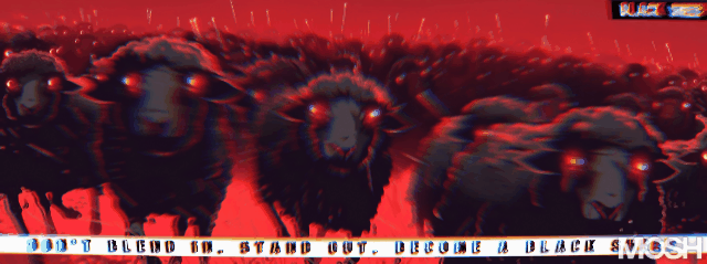 d3e9a36b757e6cb1ce4ef2b02e91882d7f799ac3x363.gif