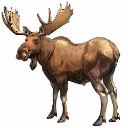 National Animal Image