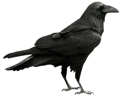 National Animal Image