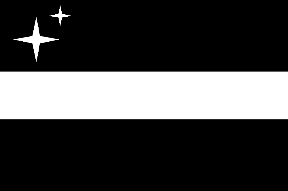 Flagy flag showcase (the second)