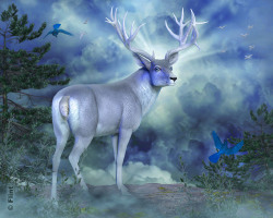 National Animal Image