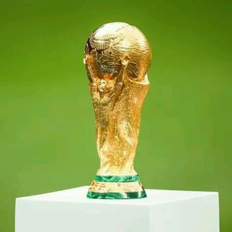 Bidding process for OIFA world cup 2094