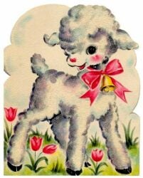 National Animal Image