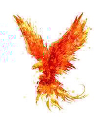 National Animal Image