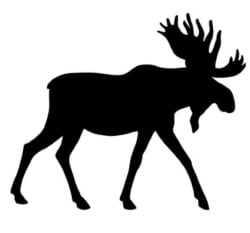 National Animal Image