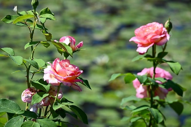 ef35c596790a9138edf8c0dd6060dd535d0d945fx948.jpg