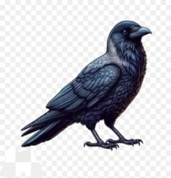 National Animal Image