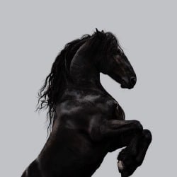 National Animal Image