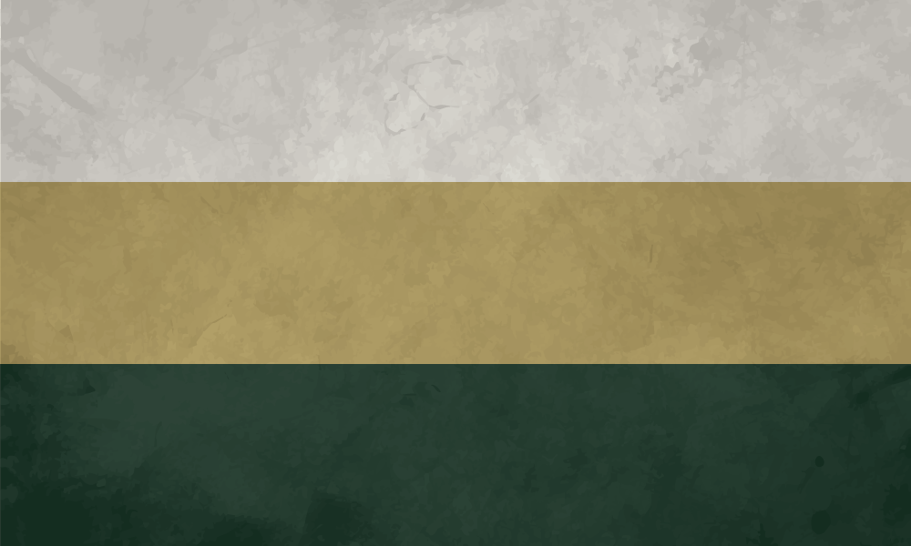  Flag