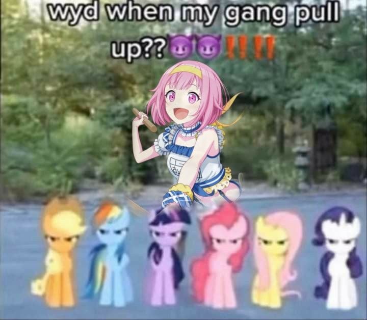 f7f106053fedcf378a67dc19440caf9065c0f843x309.jpeg