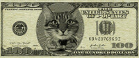 Currency Image