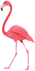 National Animal Image